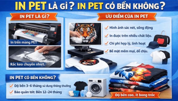 In PET là gì? Dịch vụ in PET Nam Định uy tín